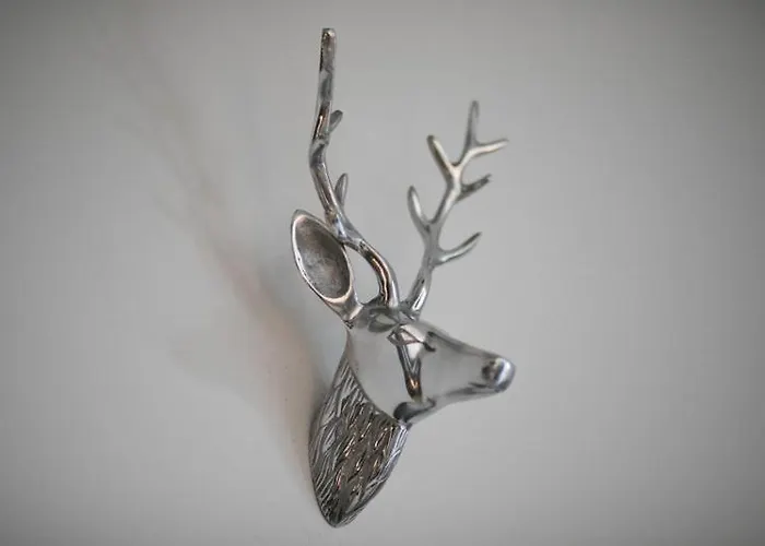 Silver Deer, Daire Kranjska Gora